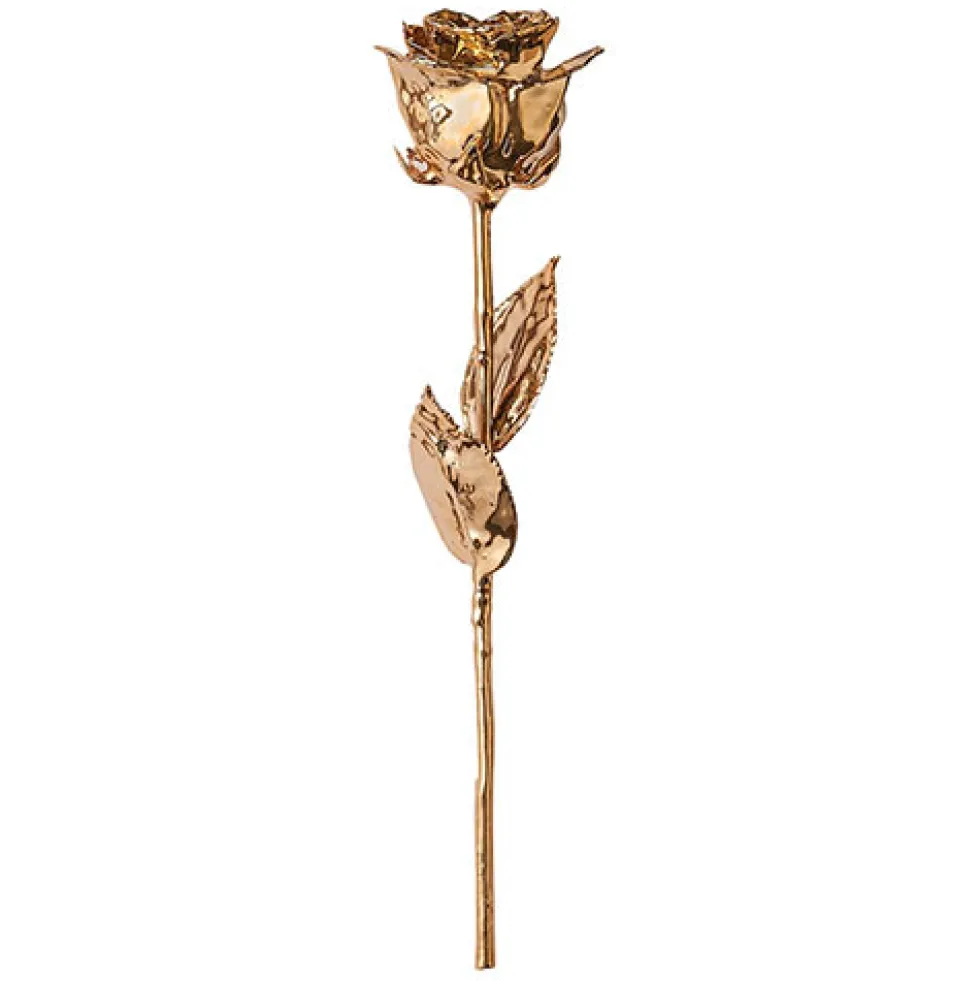 Rose d’or