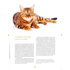 Sa majesté mon chat