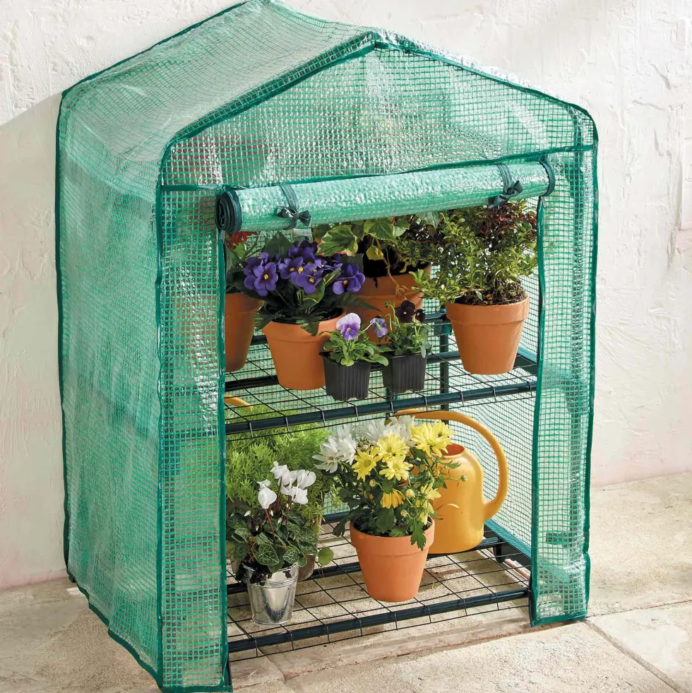 Serre-étagère de jardin