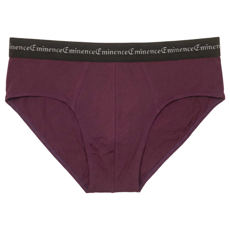 Sous-vêtements Eminence slips - les 3