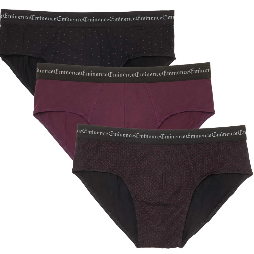 Sous-vêtements Eminence slips - les 3